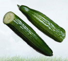 Gúrkur Gúrkur